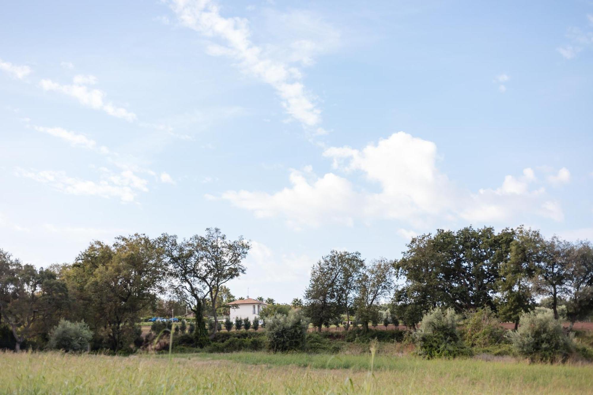 Villa Eirene Ricadi Exterior foto